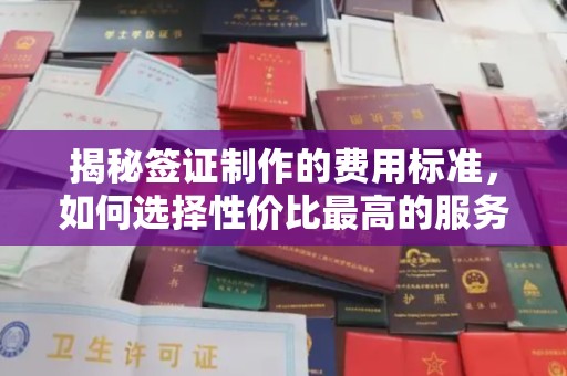 思南揭秘签证制作的费用标准，如何选择性价比最高的服务？